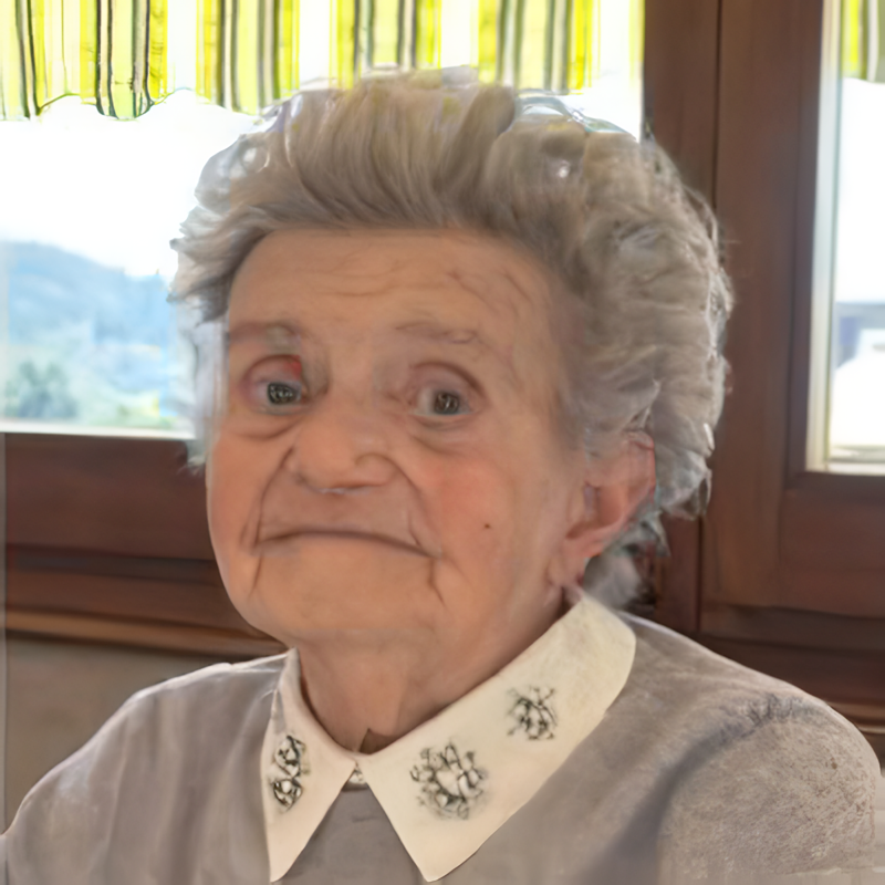 Al momento stai visualizzando Valseriati Luigia